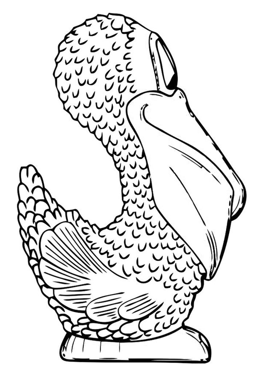 Kleurplaat zijkant pelikaan