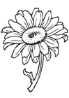 kleurplaat zonnebloem 