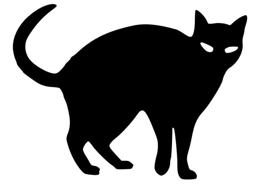 Kleurplaat zwarte kat