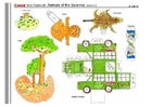 dieren 3